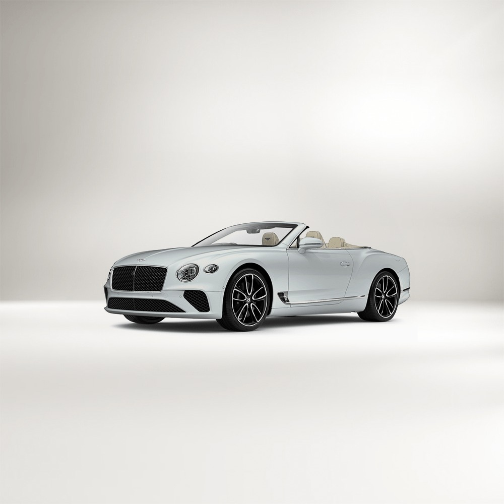 Imagen del coche